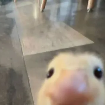 chat with ai character: Bucky dad