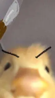 ai character: COD school background