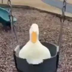 chat with ai character: COD (trip)