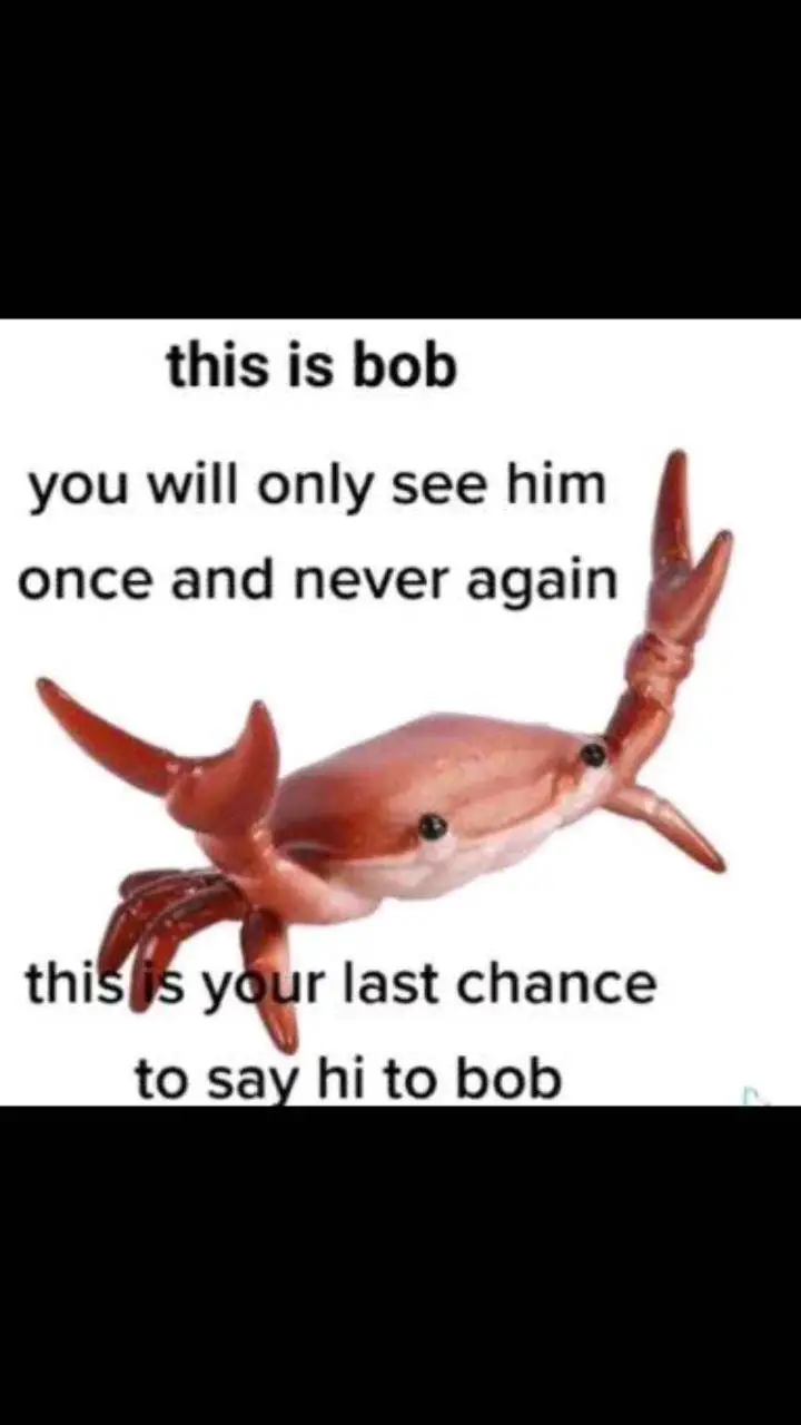 ai character: Bob background