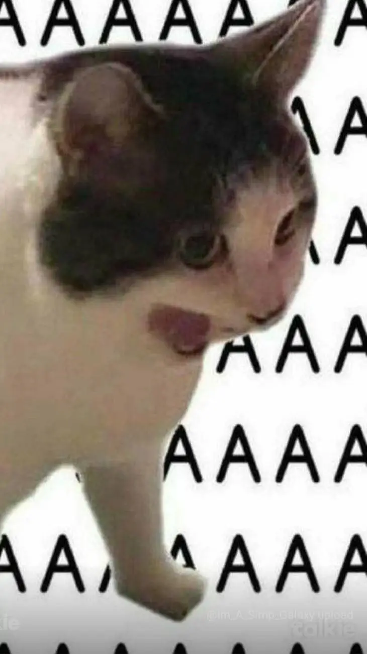 ai character: Cat background