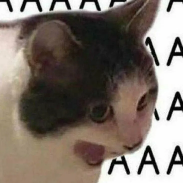 chat with ai character: Cat