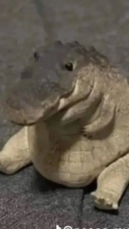 ai character: Baxter x Nifty background