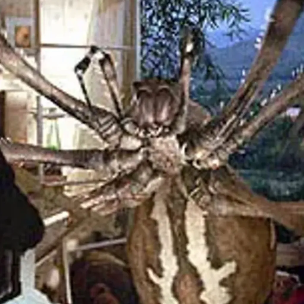 chat with ai character: Eight Legged Freak