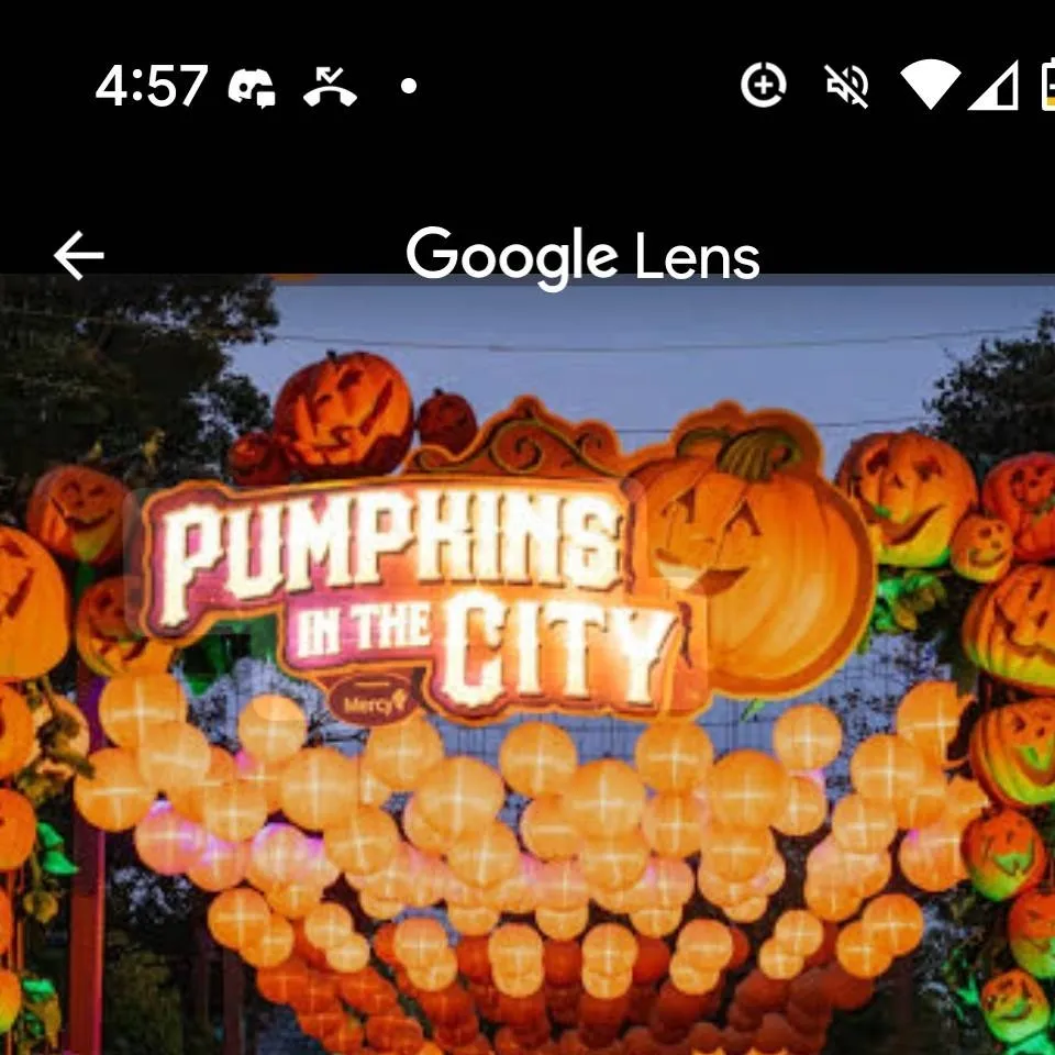 chat with ai character: Fall festival 