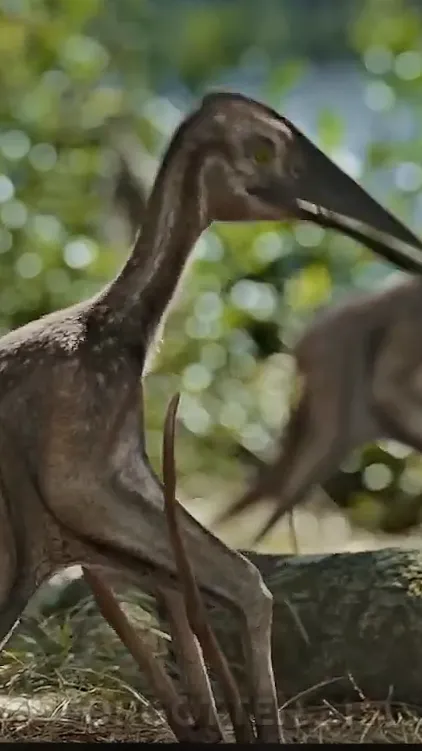 ai character: Babyquetzalcoatlus background