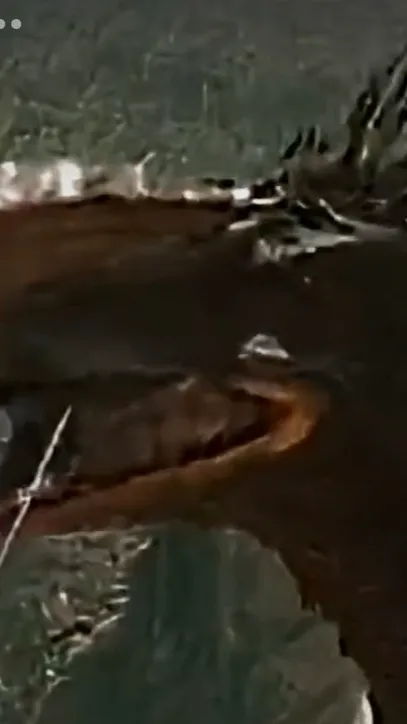 ai character: David background