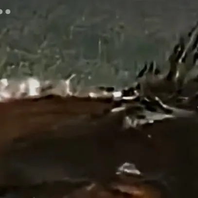 chat with ai character: David