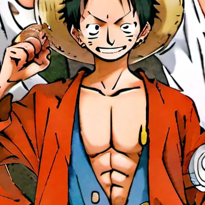 chat with ai character: One Piece Swap