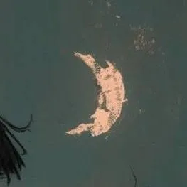 chat with ai character: amy