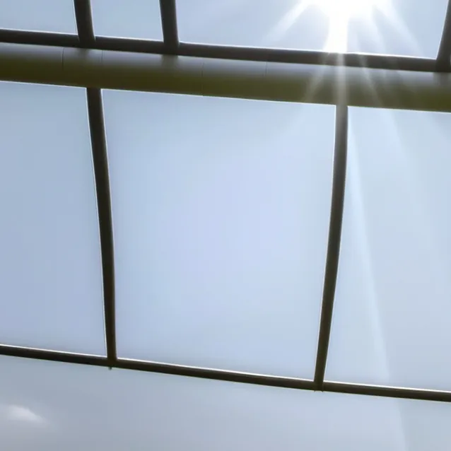 chat with ai character: Football School 2