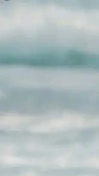 ai character: Cruz background