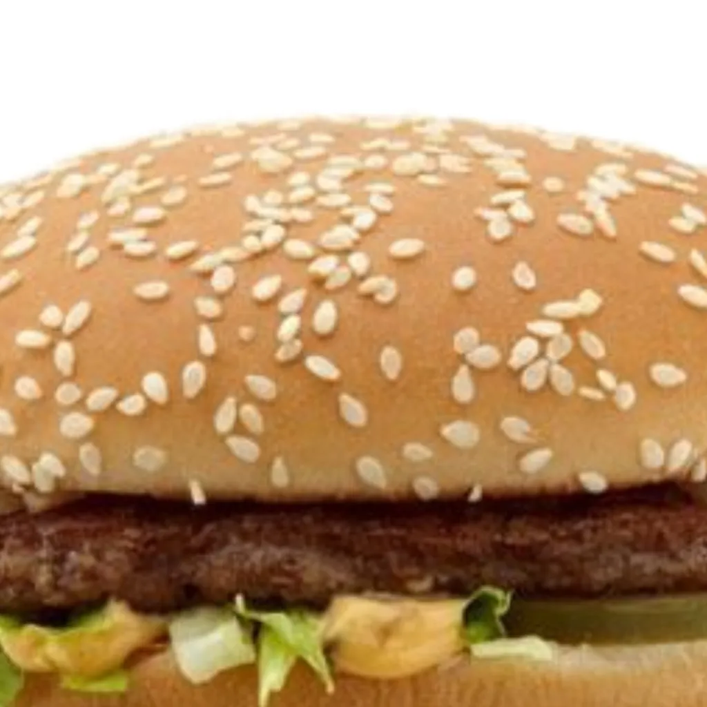 chat with ai character: Double Hamburger