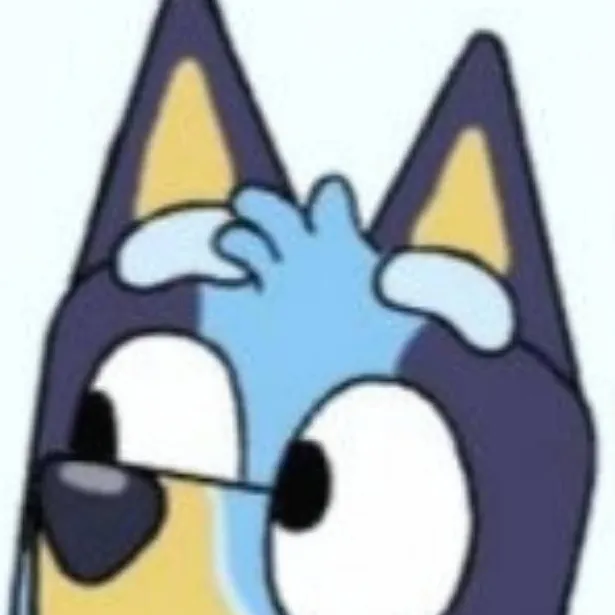 chat with ai character: fat bluey