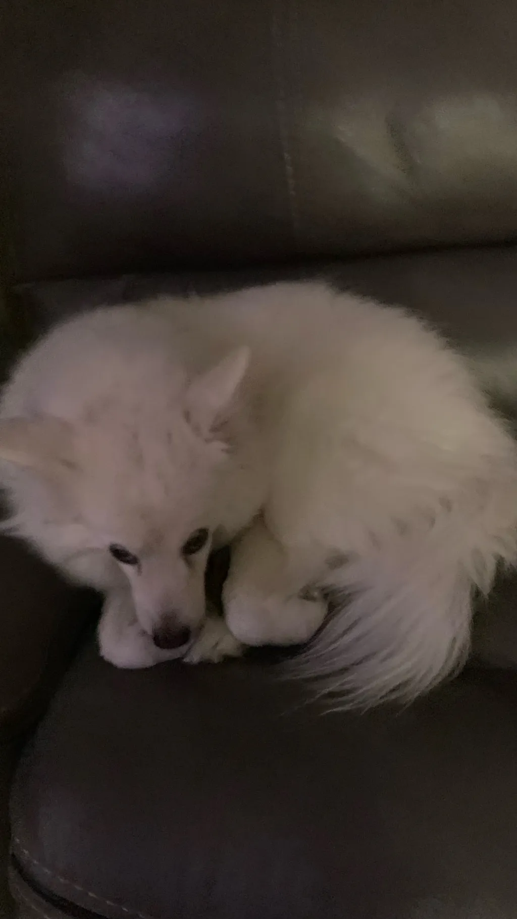 ai character: Smokey background