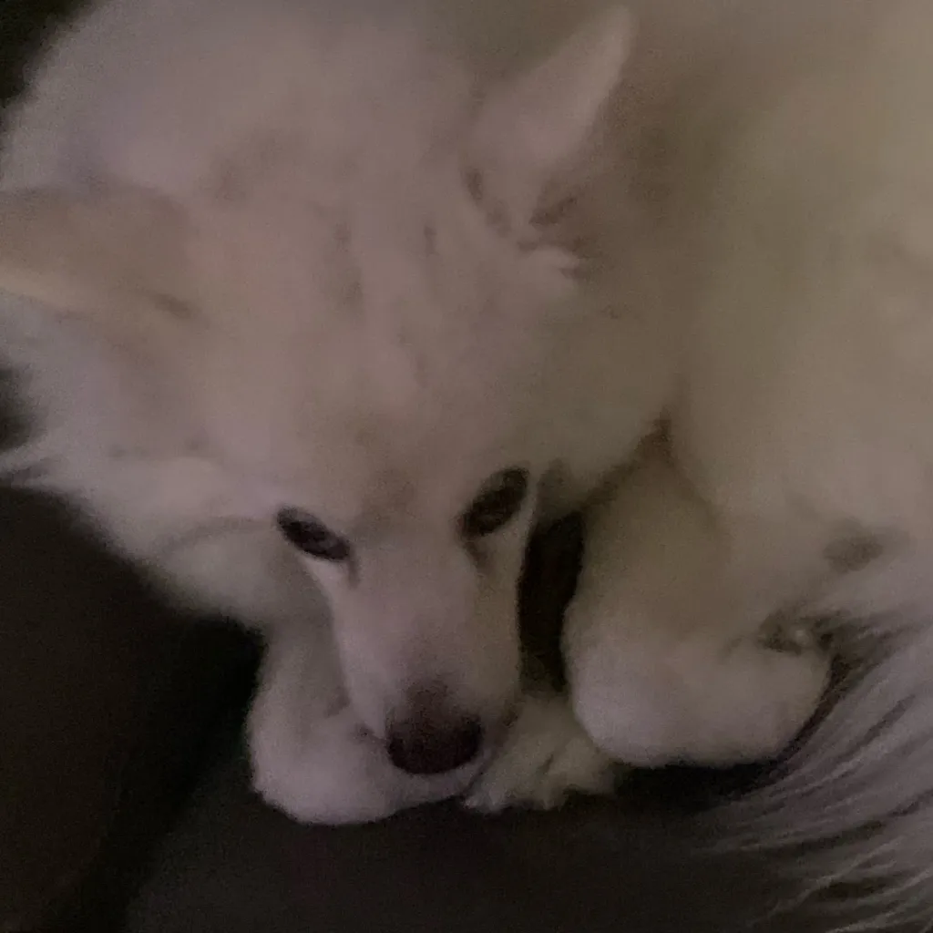 chat with ai character: Smokey