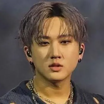 chat with ai character: Changbin