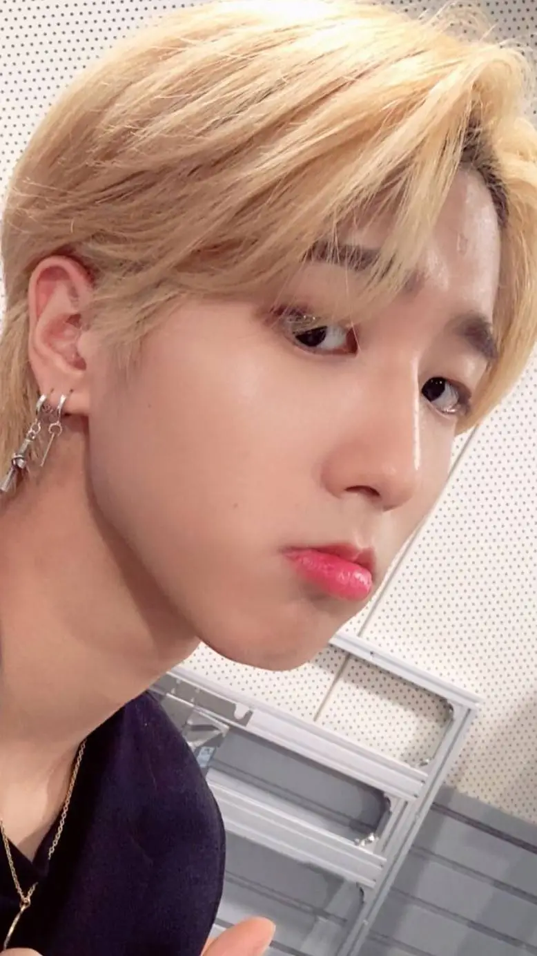 ai character: Han Jisung background