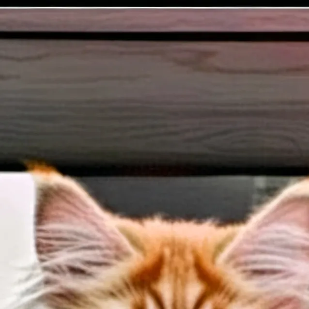 chat with ai character: cat