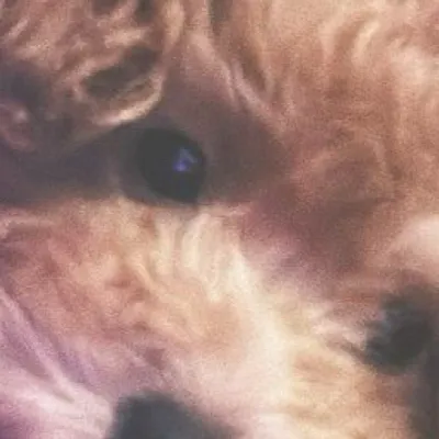 chat with ai character: Imani