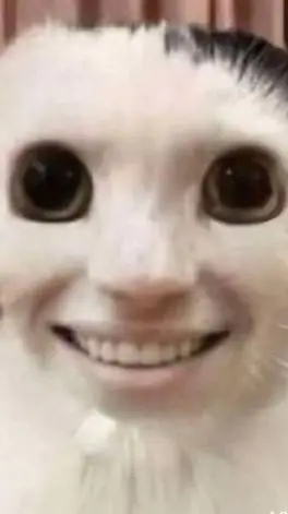 ai character: a goofy cat background