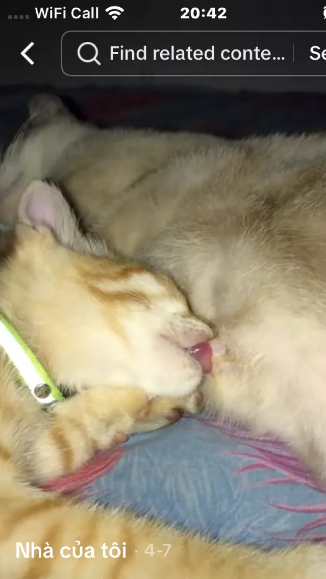 ai character: Alec background