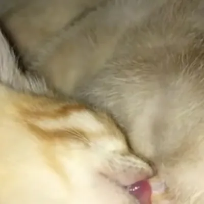 chat with ai character: Alec