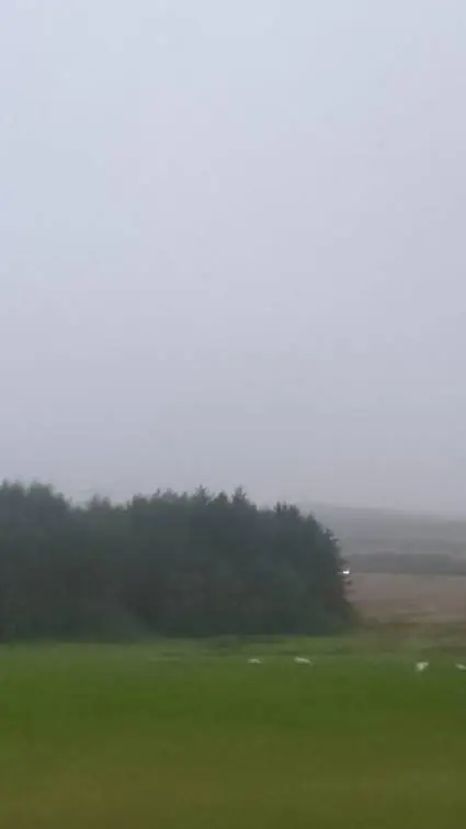 ai character: sanji background