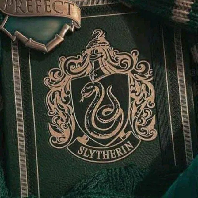 chat with ai character: Slytherin Gc