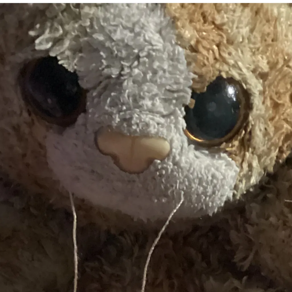 chat with ai character: BABY KITTY