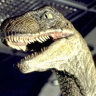 chat with ai character: Clever Raptor