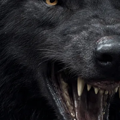 chat with ai character: Neoma 