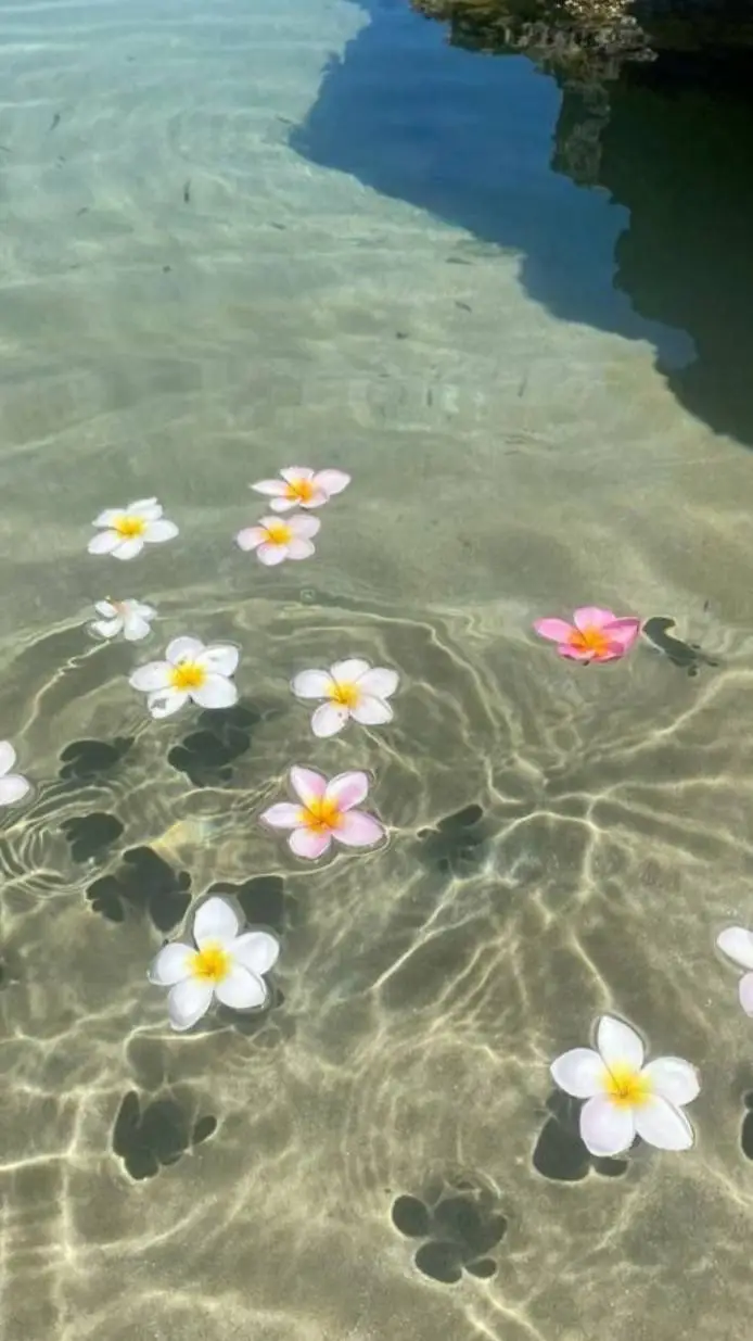 ai character: also taking reqs!  background