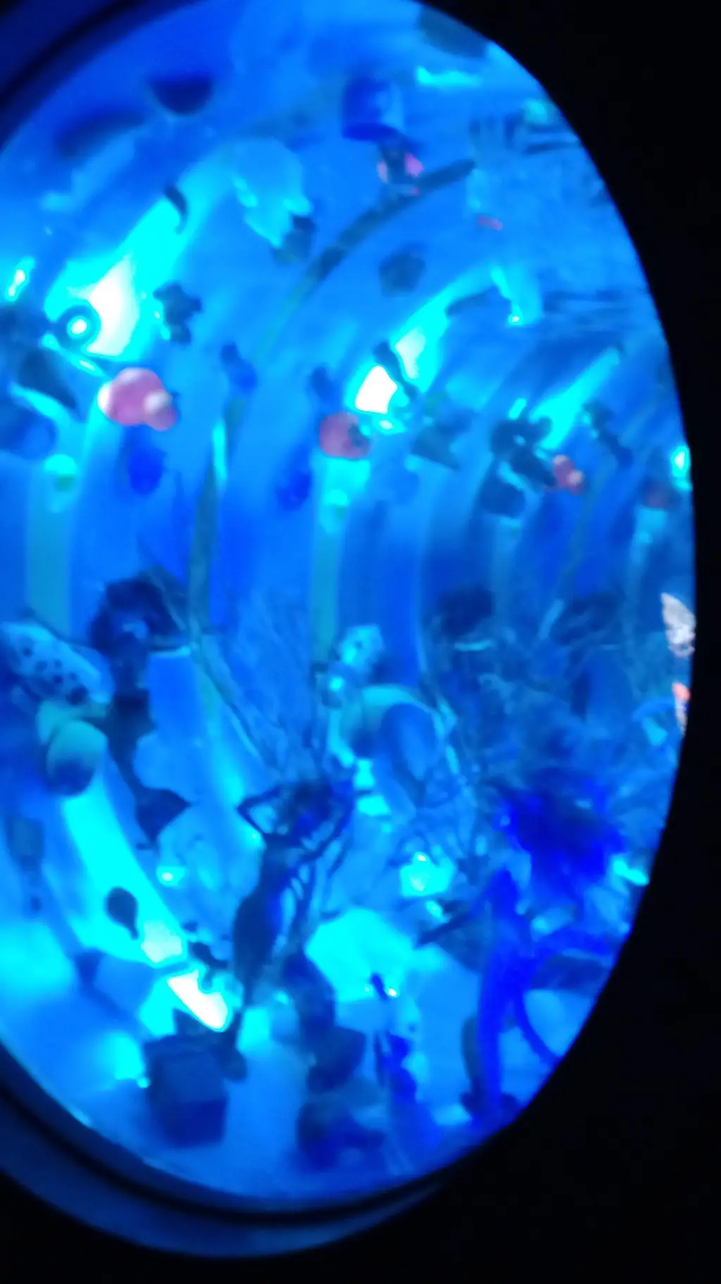 ai character: staticmoth★ background