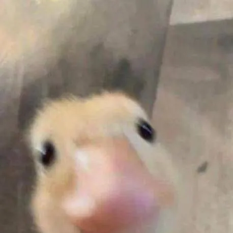 chat with ai character: duck