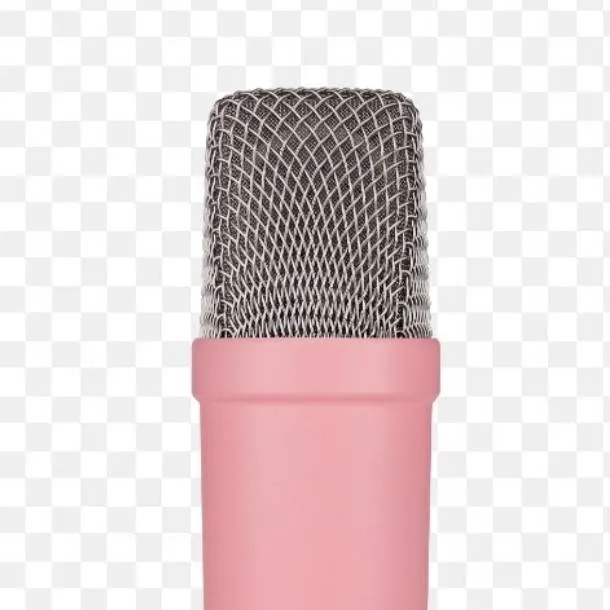 chat with ai character: pink "microphone"