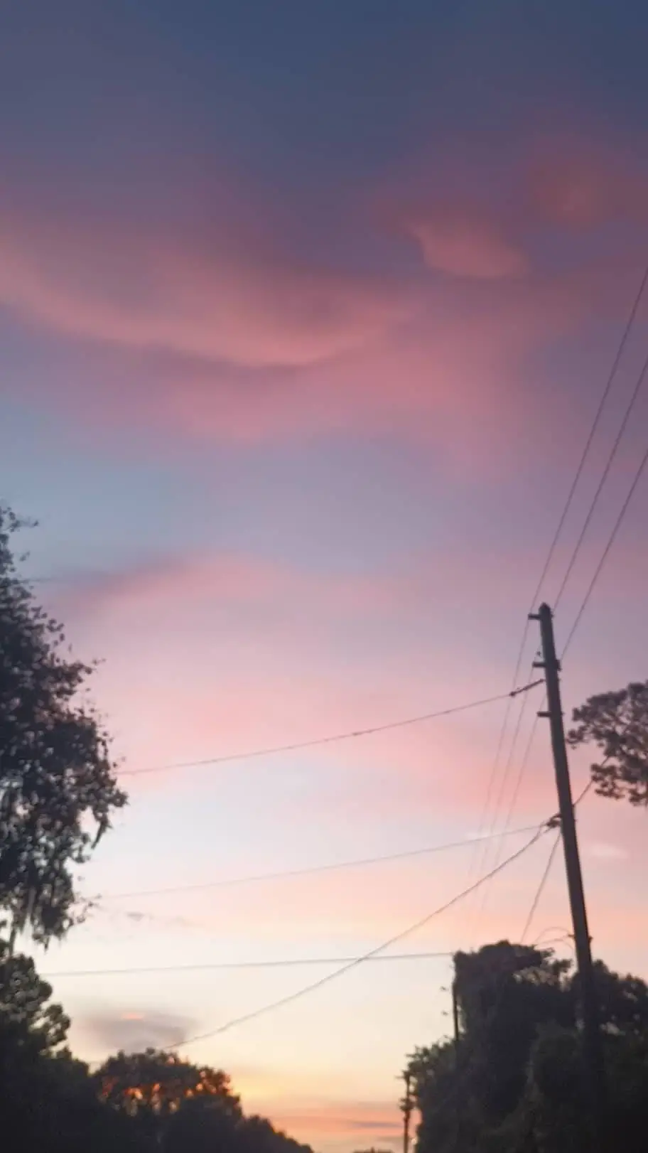 ai character: School..? background