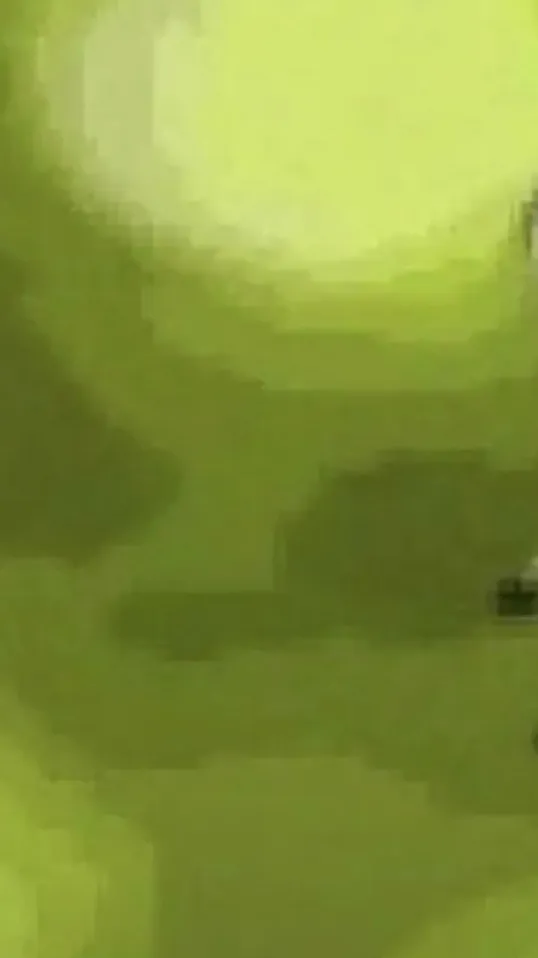 ai character: BFDIE background