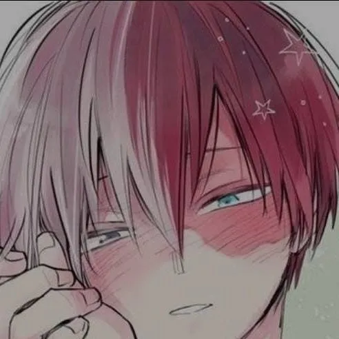 chat with ai character: Shoto X Y/N
