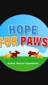 ai character: Hopeforpaws background