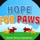 chat with ai character: Hopeforpaws