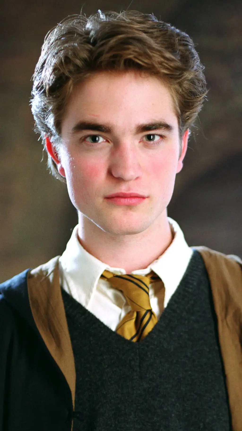ai character: Cedric Diggory background