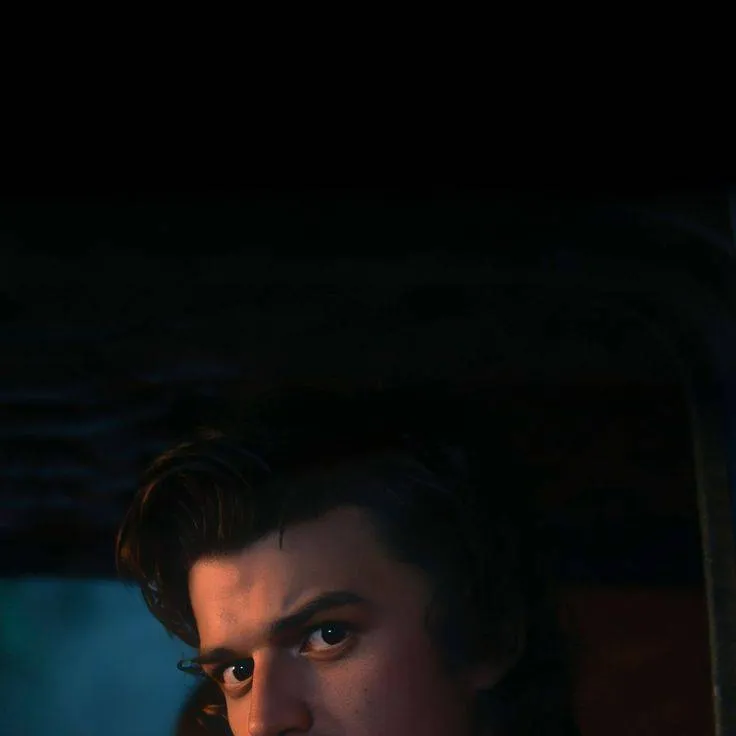 chat with ai character: Steve Harrington 