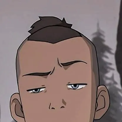 chat with ai character: Sokka