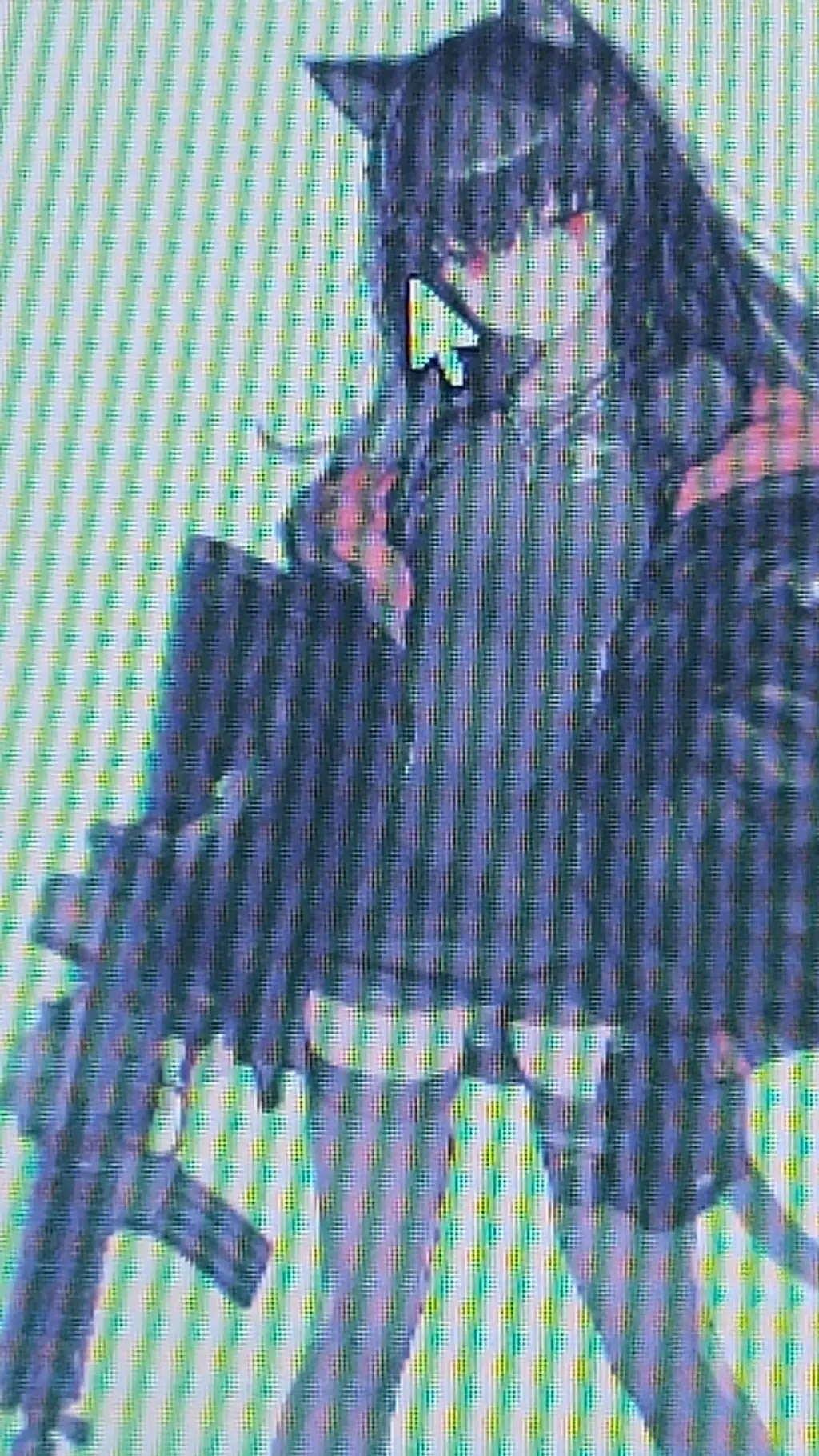 ai character: Mieru background