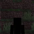 chat with ai character: TBS Null