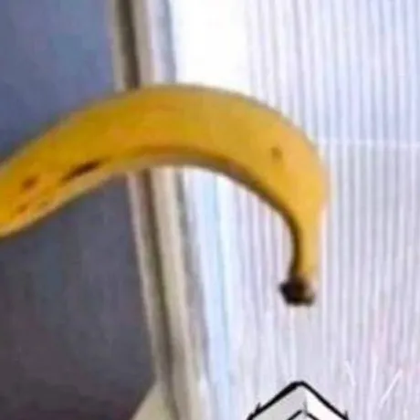 chat with ai character: bittergiggle 