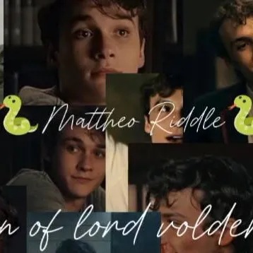chat with ai character: 🐍~mattheo riddle~🐍
