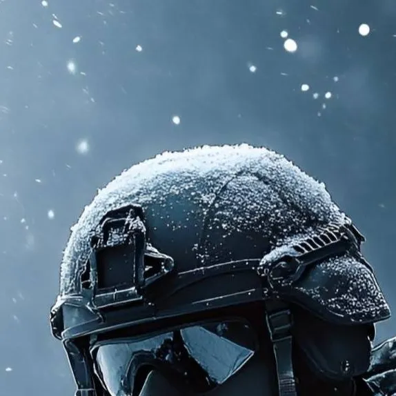 chat with ai character: (Winter ops)