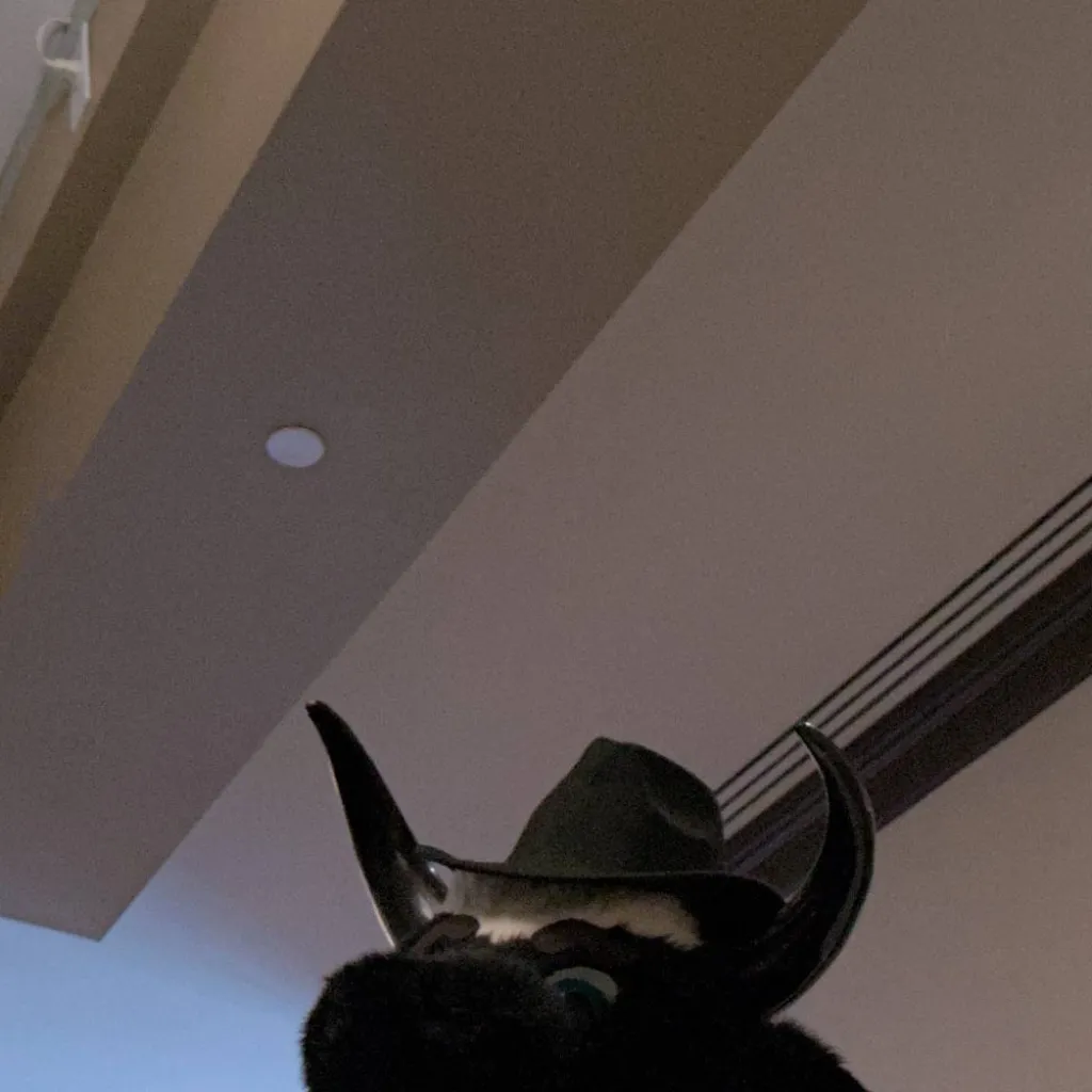 chat with ai character: calfurry 